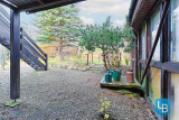 Blick in den Garten 