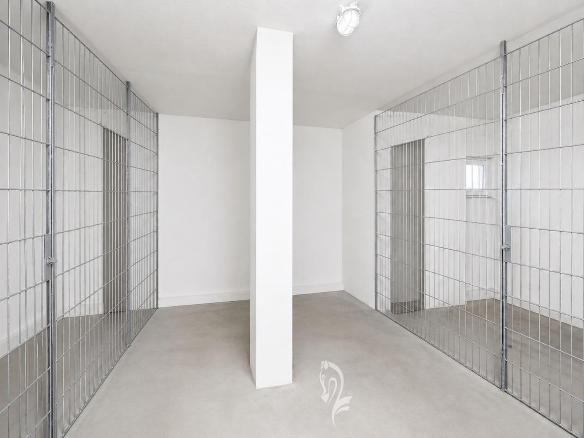 Keller (Visualisiert)