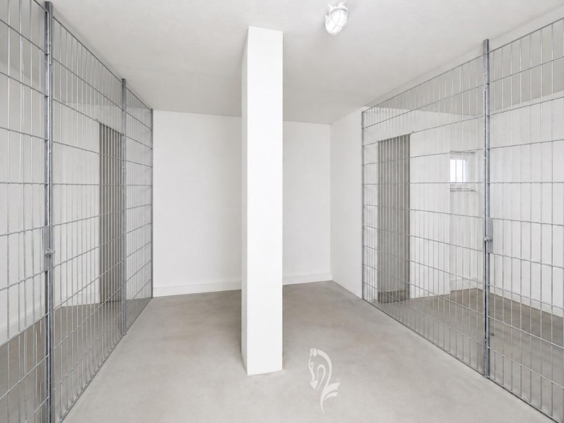 Keller (Visualisiert)