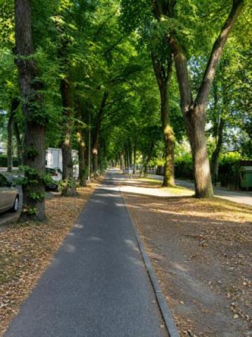 026 Allee