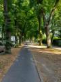 026 Allee