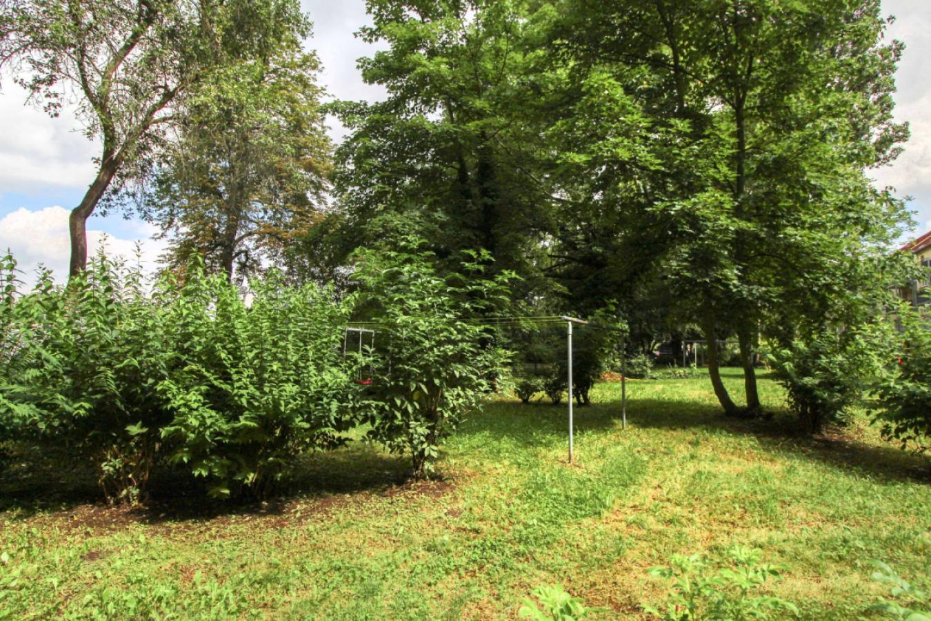 Gemeinschaftsgarten