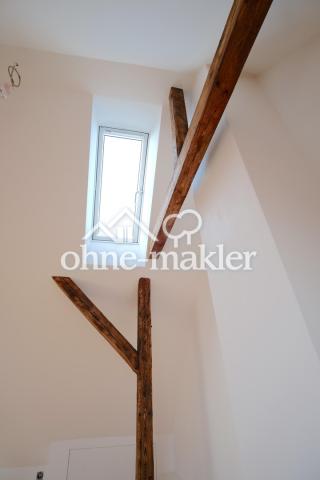 DG Balken Schornsteinfenster