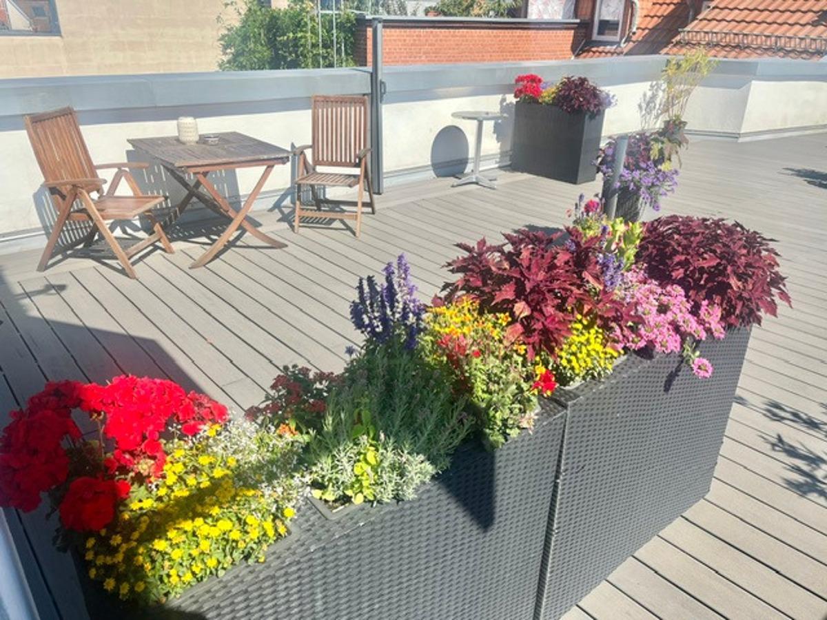 Dachterrasse
