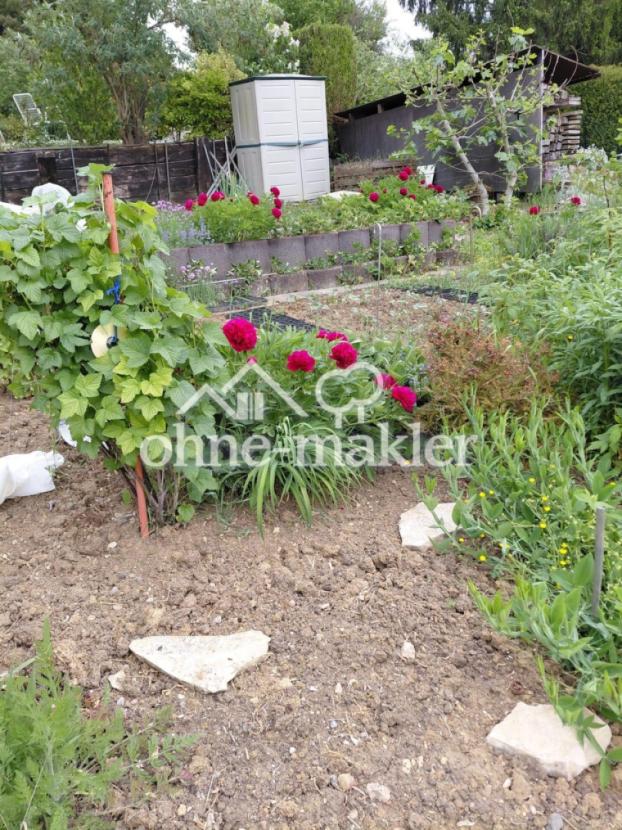 Beete