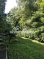 Grünanlage hinter dem Haus