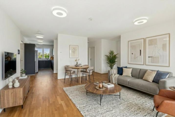 Wohnzimmer - Ansicht 3 - Staging