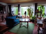 EG Wohnzimmer