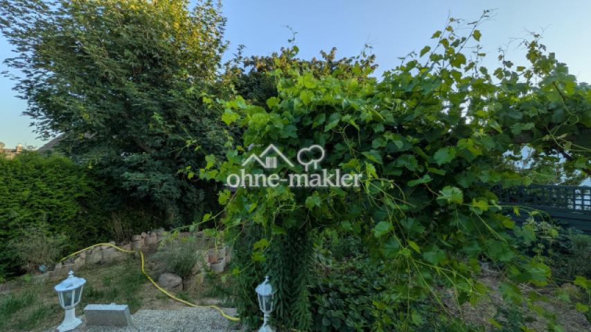 Ansicht Garten