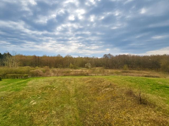 Naturblick vom Balkon (KI)
