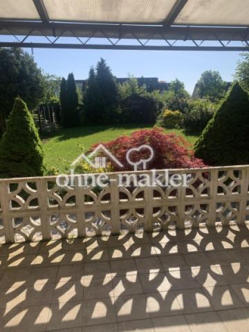 Blick in Garten
