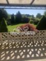 Blick in Garten