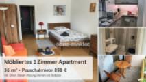 1 Zimmer Apartment