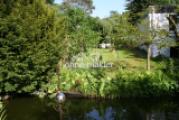 Garten Teich Bungalow 2