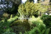 Gartenteich