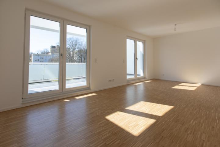 Zimmer DG