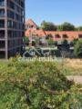 drekter Ausblick