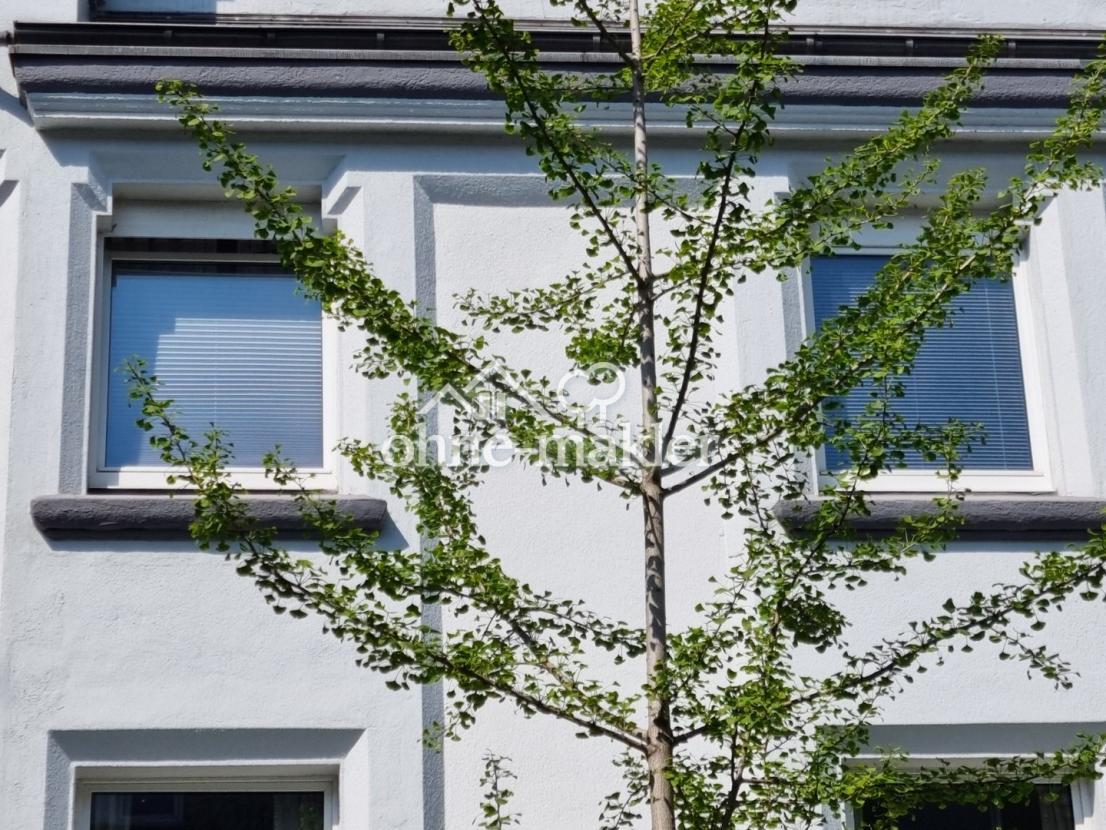 Fenster der Wohnung Südseite