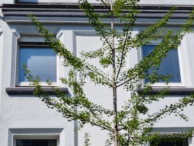 Fenster der Wohnung Südseite