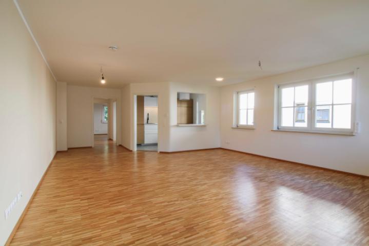 Wohnzimmer mit Küche