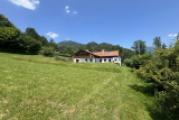 Blick vom hinteren Garten aufs Haus