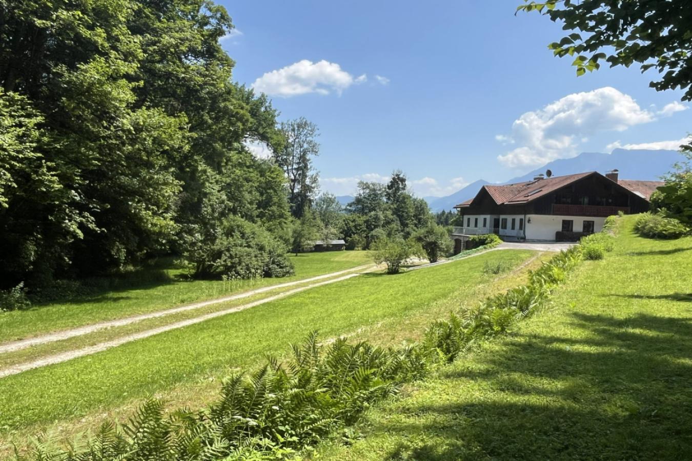 Zufahrt auf dem Grundstück zum Haus