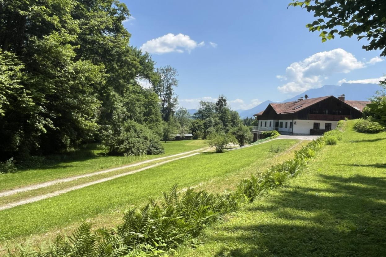 Zufahrt auf dem Grundstück zum Haus