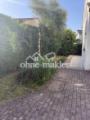 Außenansicht / Garten