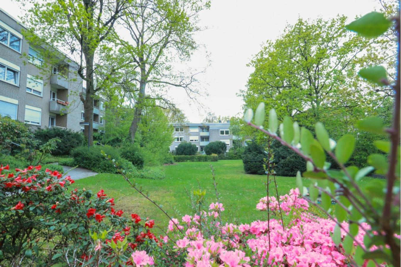 Blick von der Park ähnliche Freifläche auf das MFH