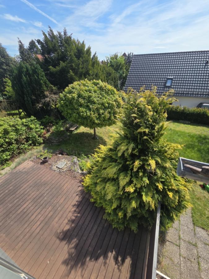 Aussicht OG in Garten