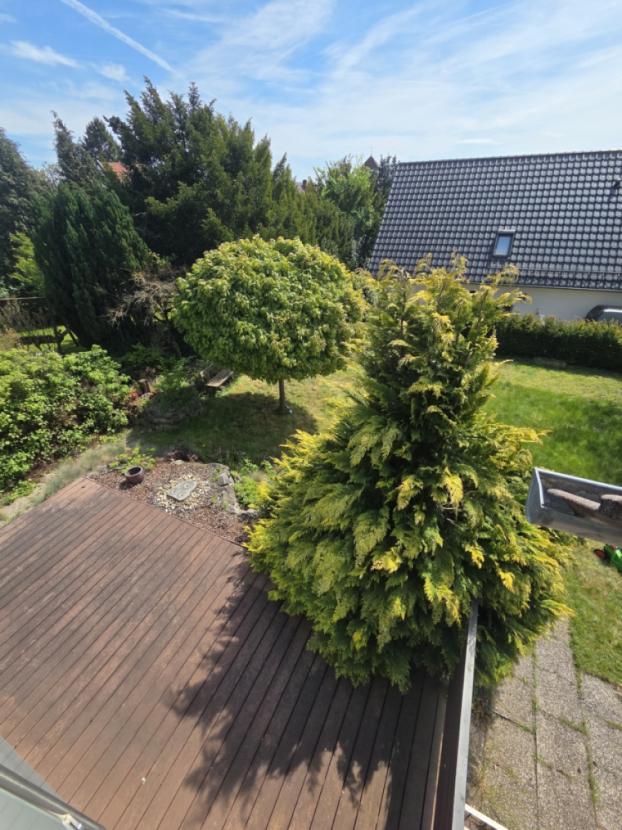 Aussicht OG in Garten