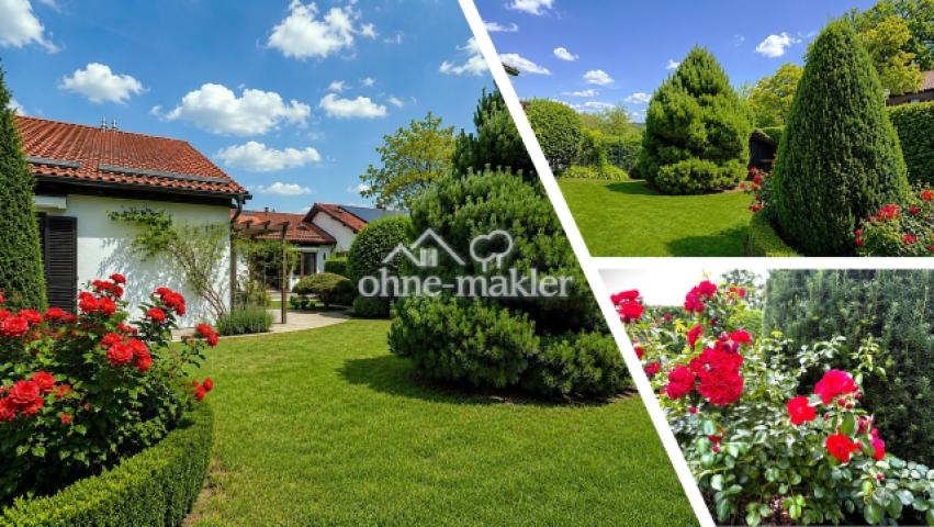 Collage Garten