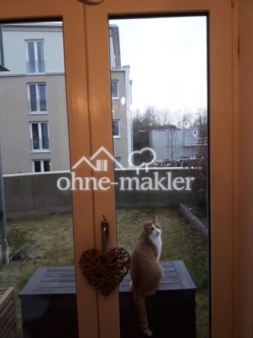 Blick aus Wohnzimmer