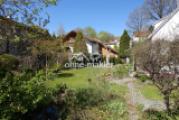 Garten Süd-West-Ausrichtung V1