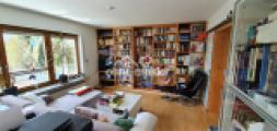 Wohn- und Arbeitszimmer