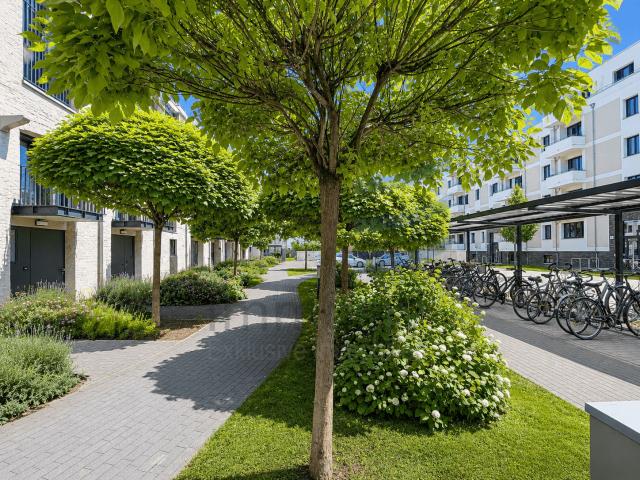 Außenanlage