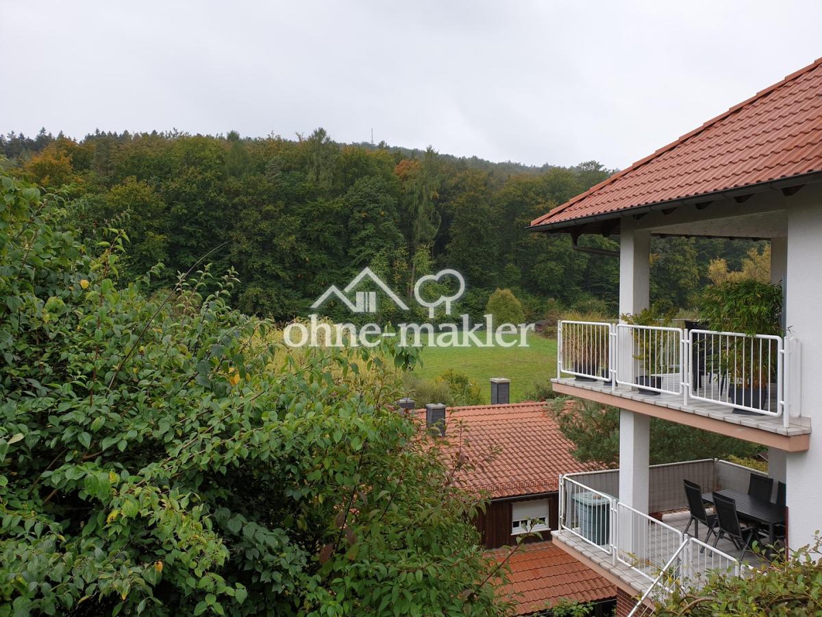 Blick vom Garten oben