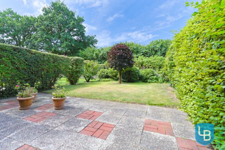 Blick in den Garten 