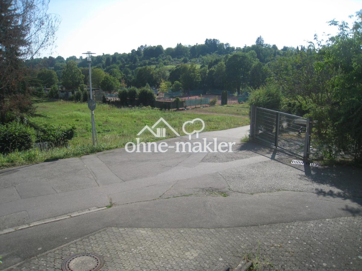 Blick ins Grüne