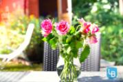 Detailbild