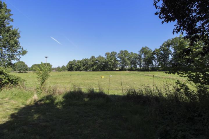 verpachtetes Weideland
