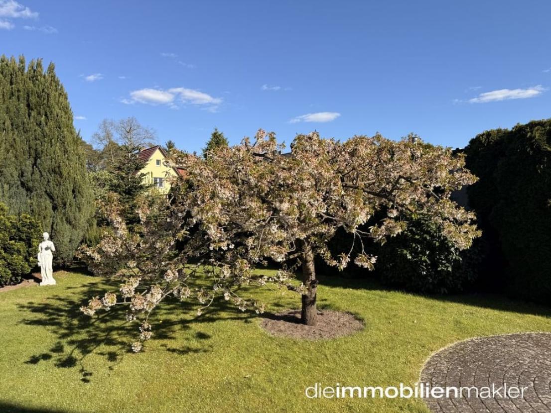 Gartenimpressionen
