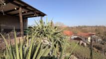 Terrasse mit Ausblick