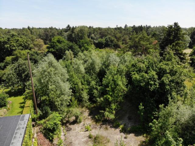 Luftbild nach Osten