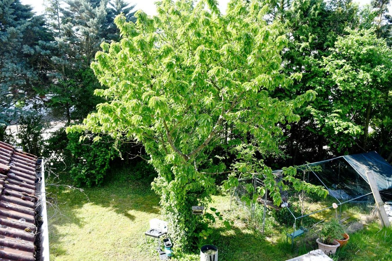 Blick vom Balkon