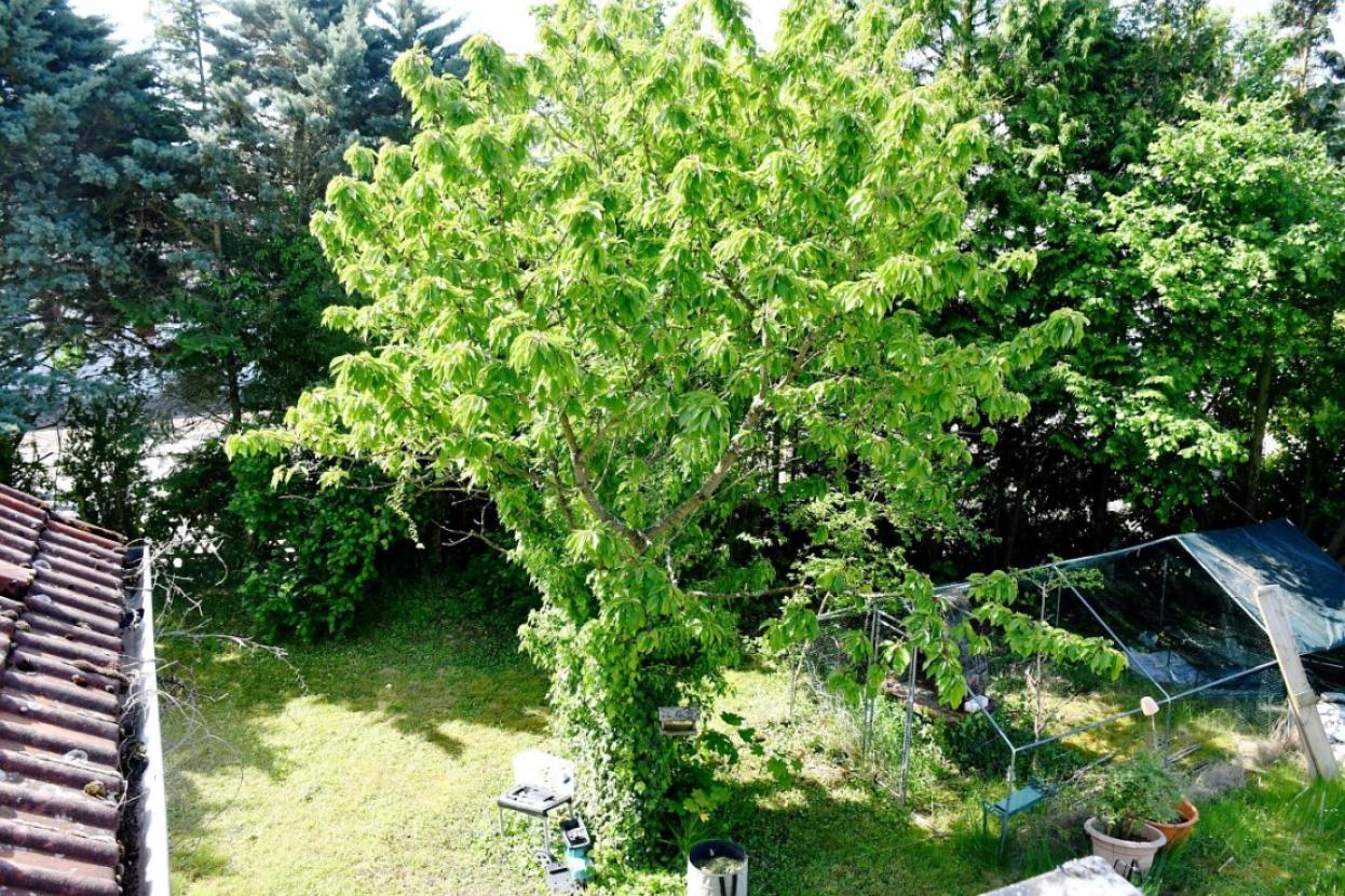 Blick vom Balkon