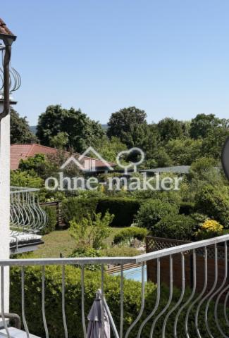 Blick ins Naturschutzgebiet