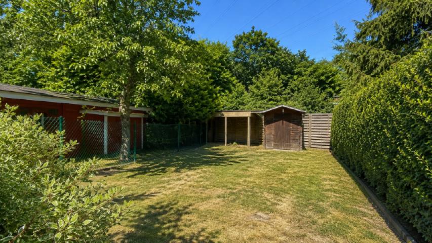 Garten hinten