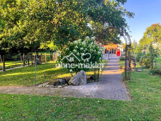 Gartenweg Blick Paddock