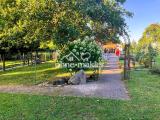 Gartenweg Blick Paddock